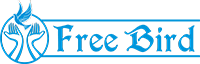 user friendly website interface design